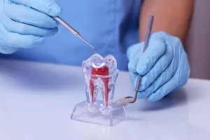 dentista trabalhando em endodontia