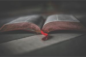 livro de teologia