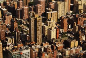 negócios imobiliários