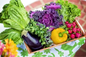 Curso de nutrição