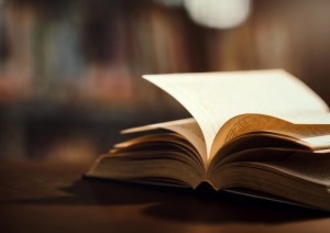 quem foi estácio de sá